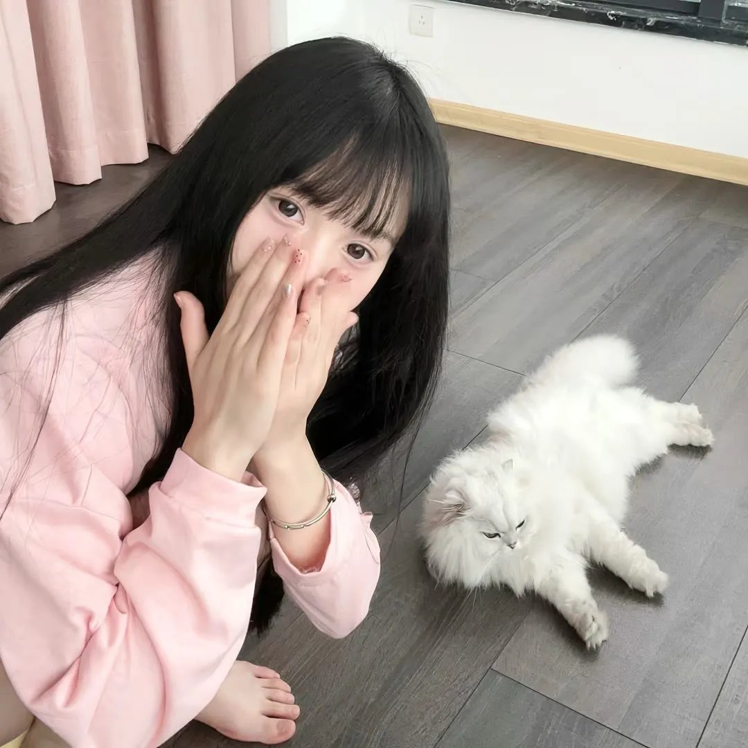 黑猩猩学院