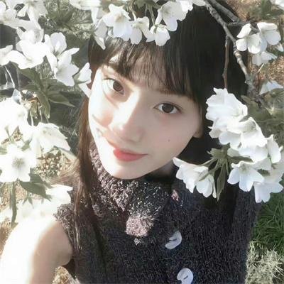 房子与狗